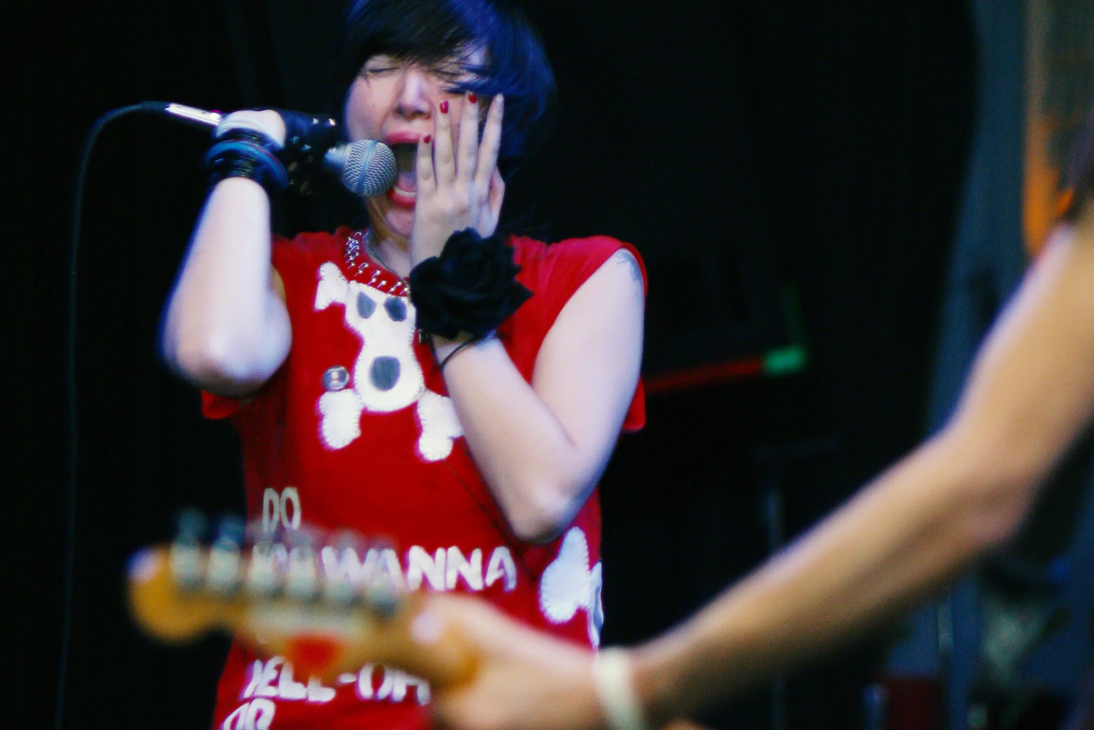 YeahYeahYeahs_IMG_2366.jpg