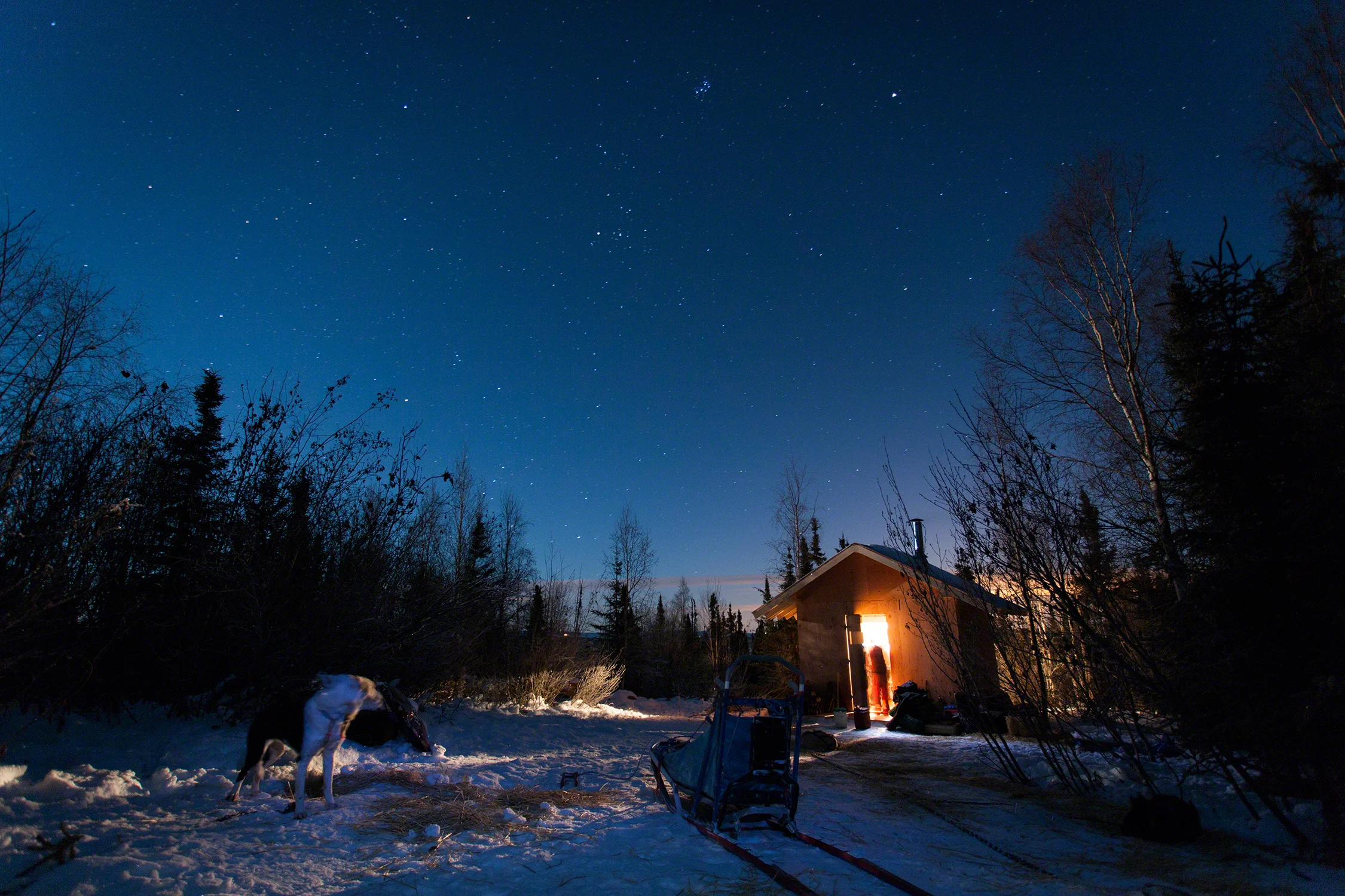 Alaska-Butcher_3455.jpg