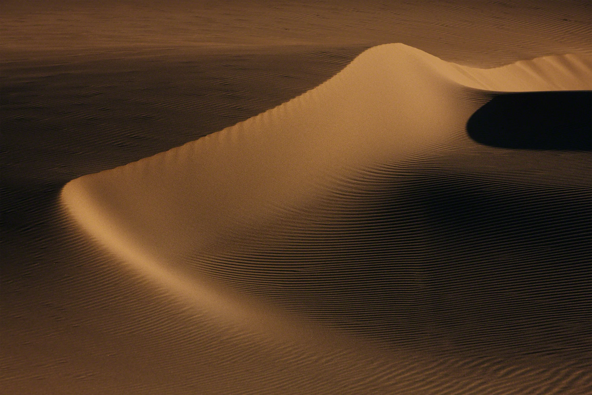 Oregon_sand-dunes__N8Y2271-1.jpg