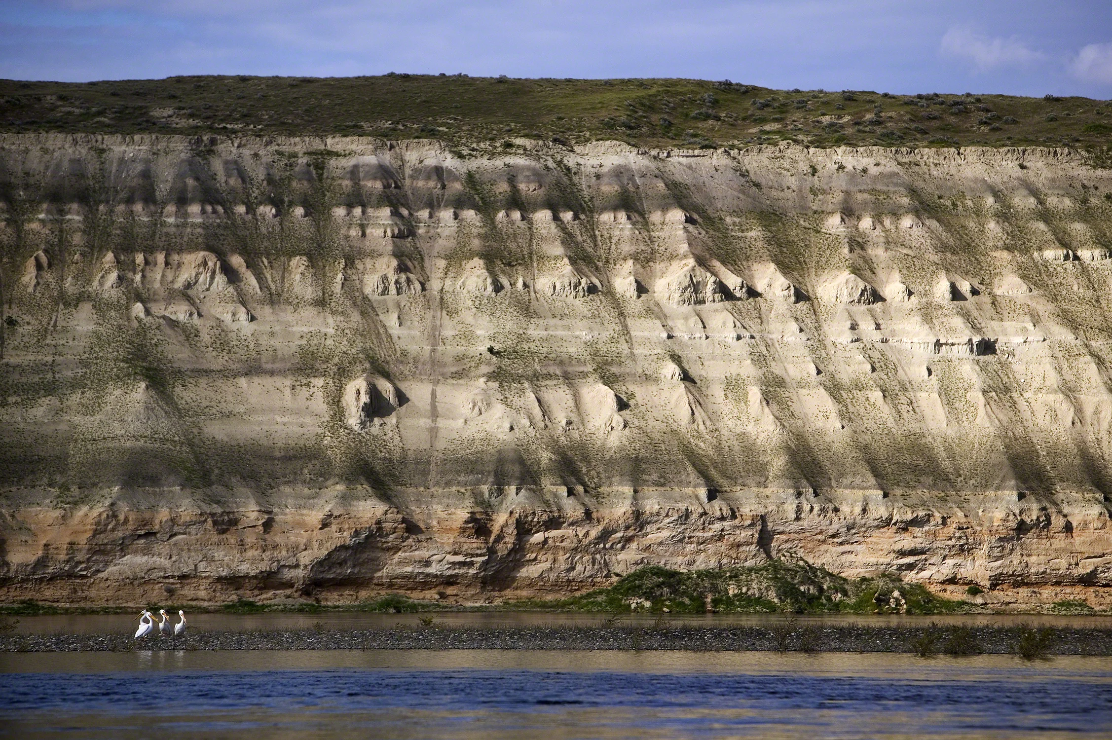 whitebluffs_0280_16x25.jpg