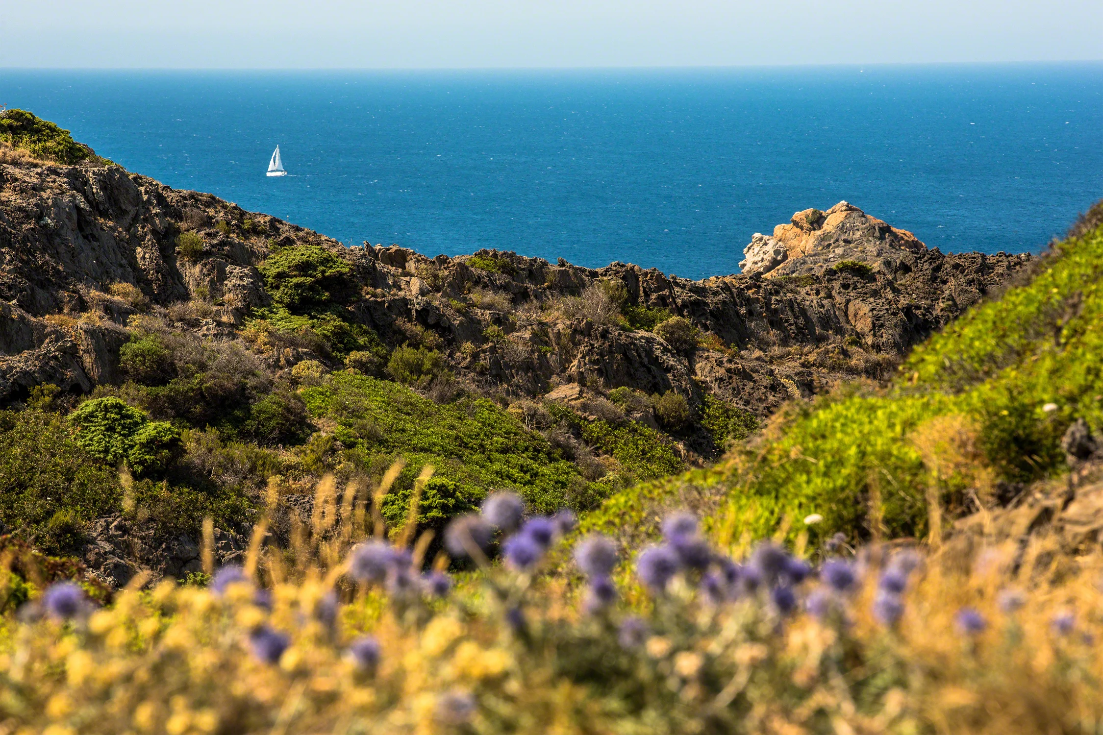 Lligat_A6C6481-1.jpg