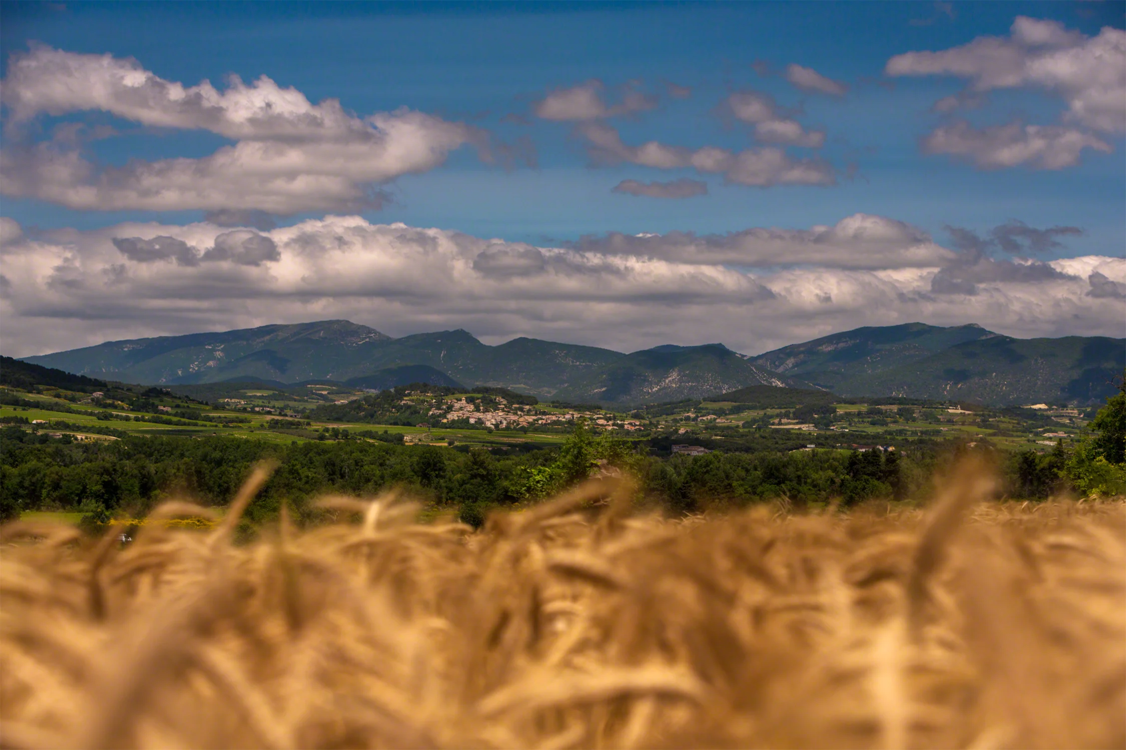 _A6C6373-1.jpg