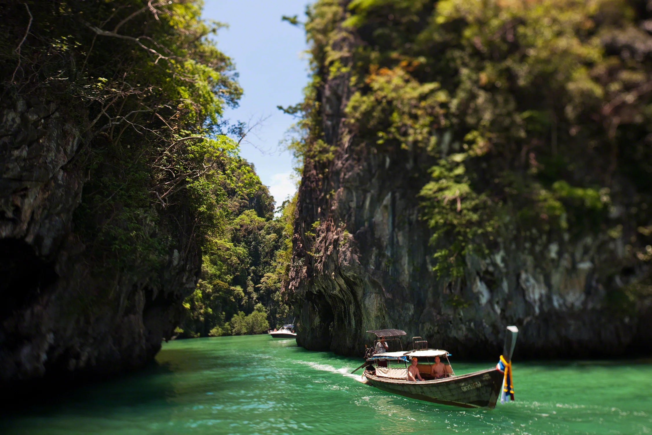 SixSenses__N8Y8506_v1.jpg