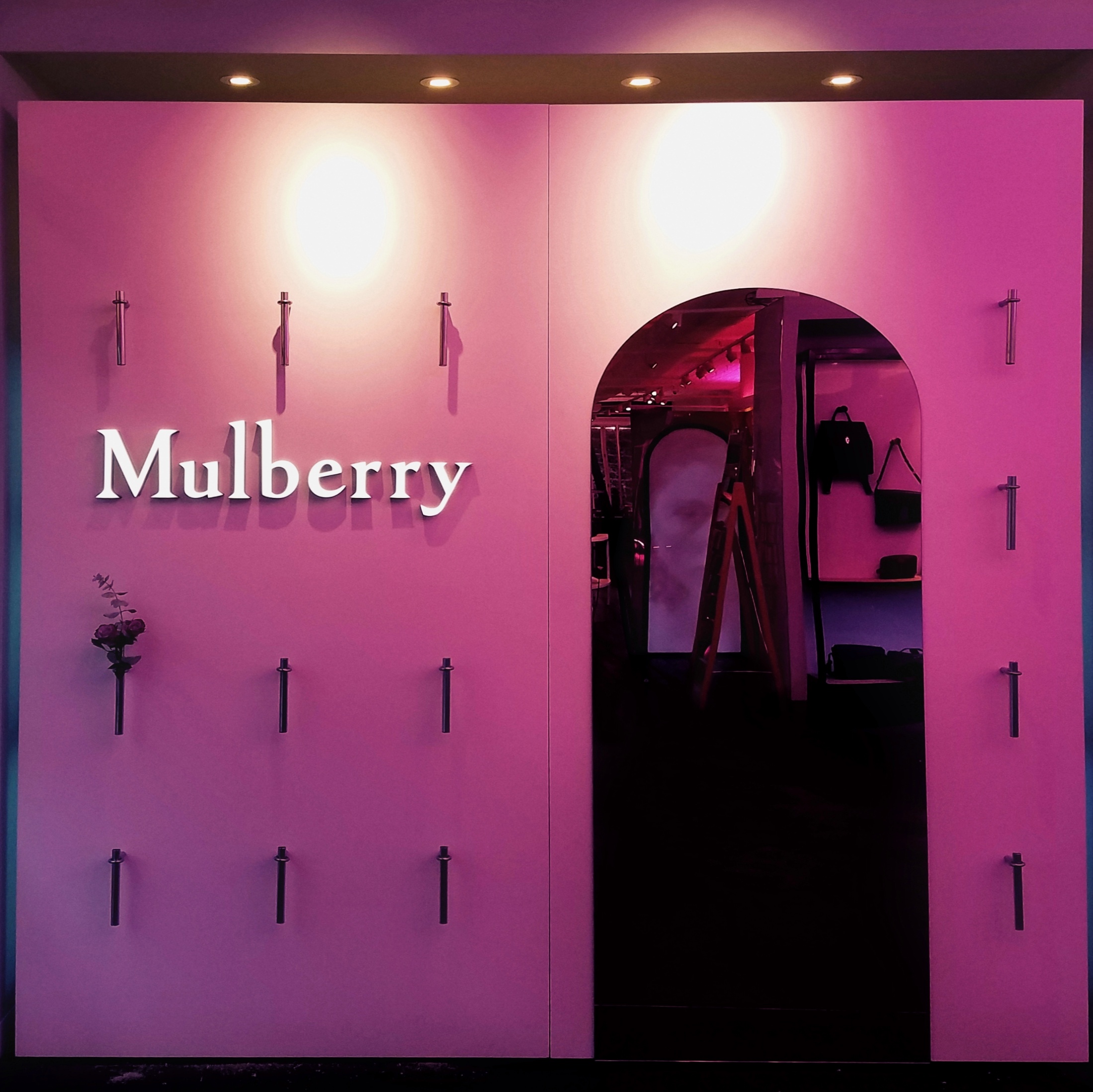 Mulberry 1.jpeg