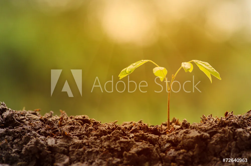 On Site Waste Treatment (BIO)