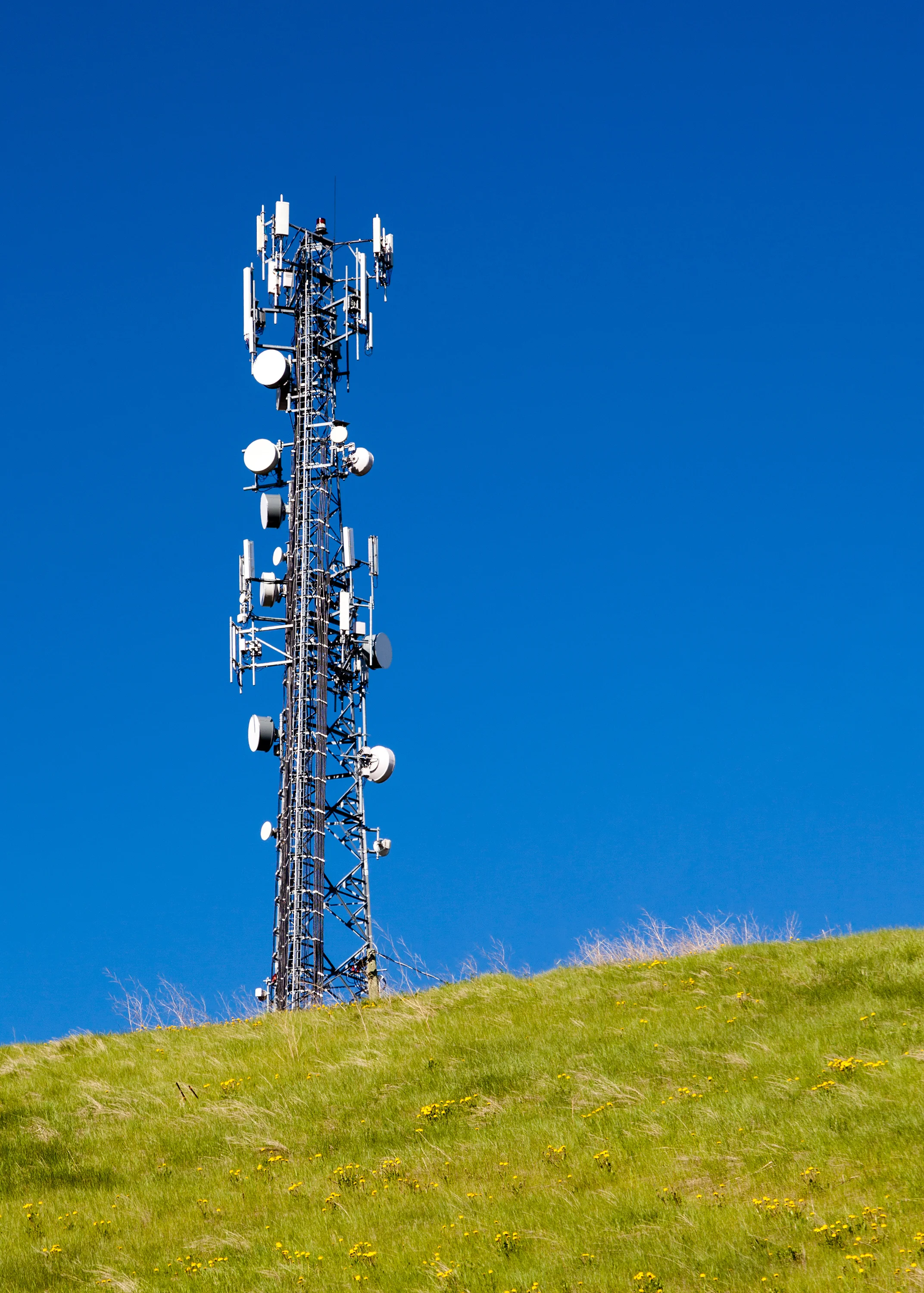 Digital Realty Services (DRS)