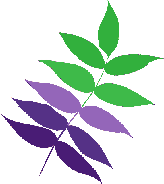 leaf..png