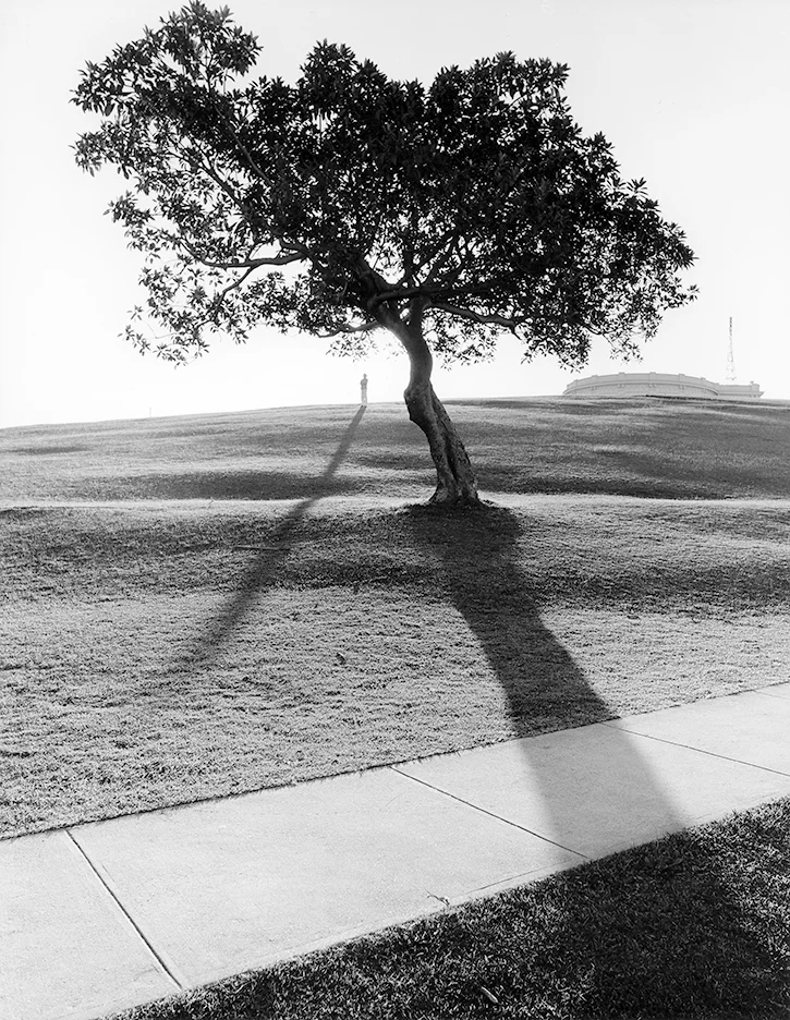 City-Spaces, Sydney #25