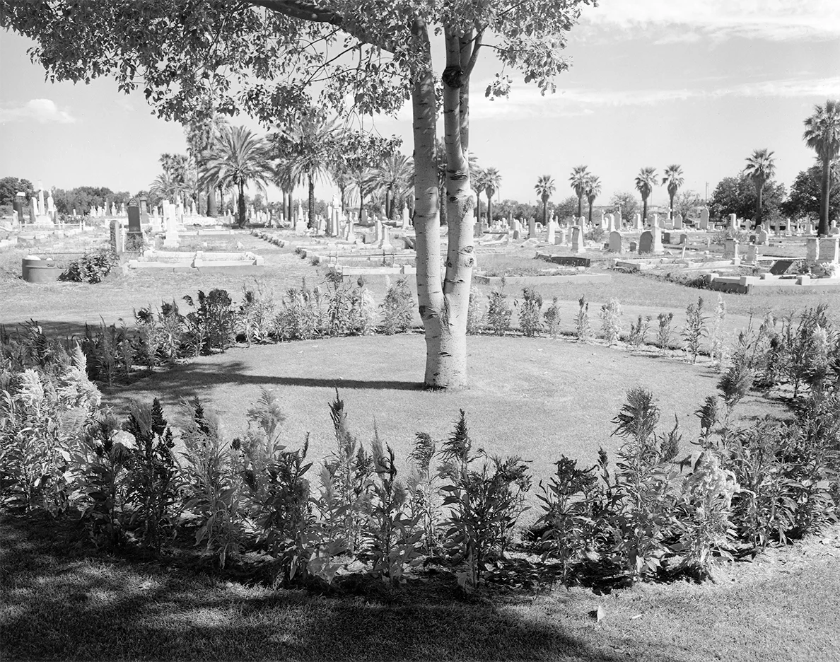 City-Spaces, Adelaide #49