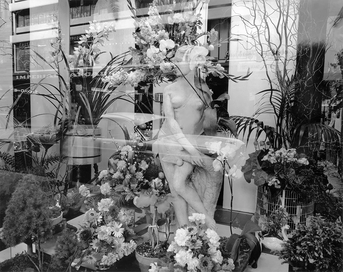 City-Spaces, Adelaide #54