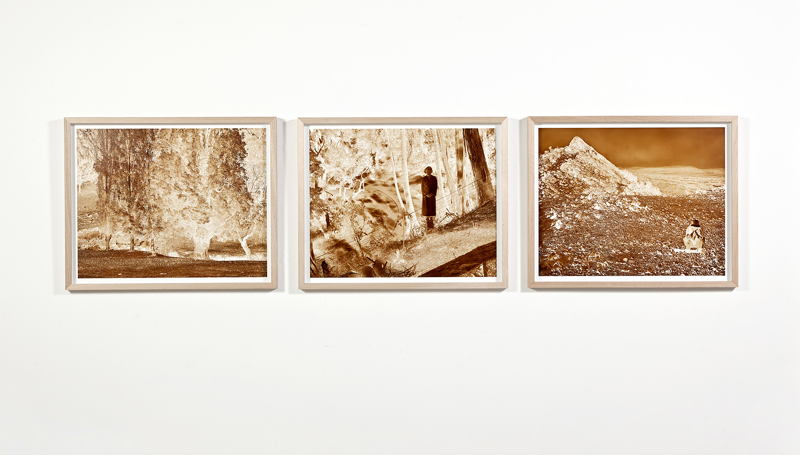 Object Studies Contemplations: Past, Present, Future 2017 (gallery view) 83cm x 323cm