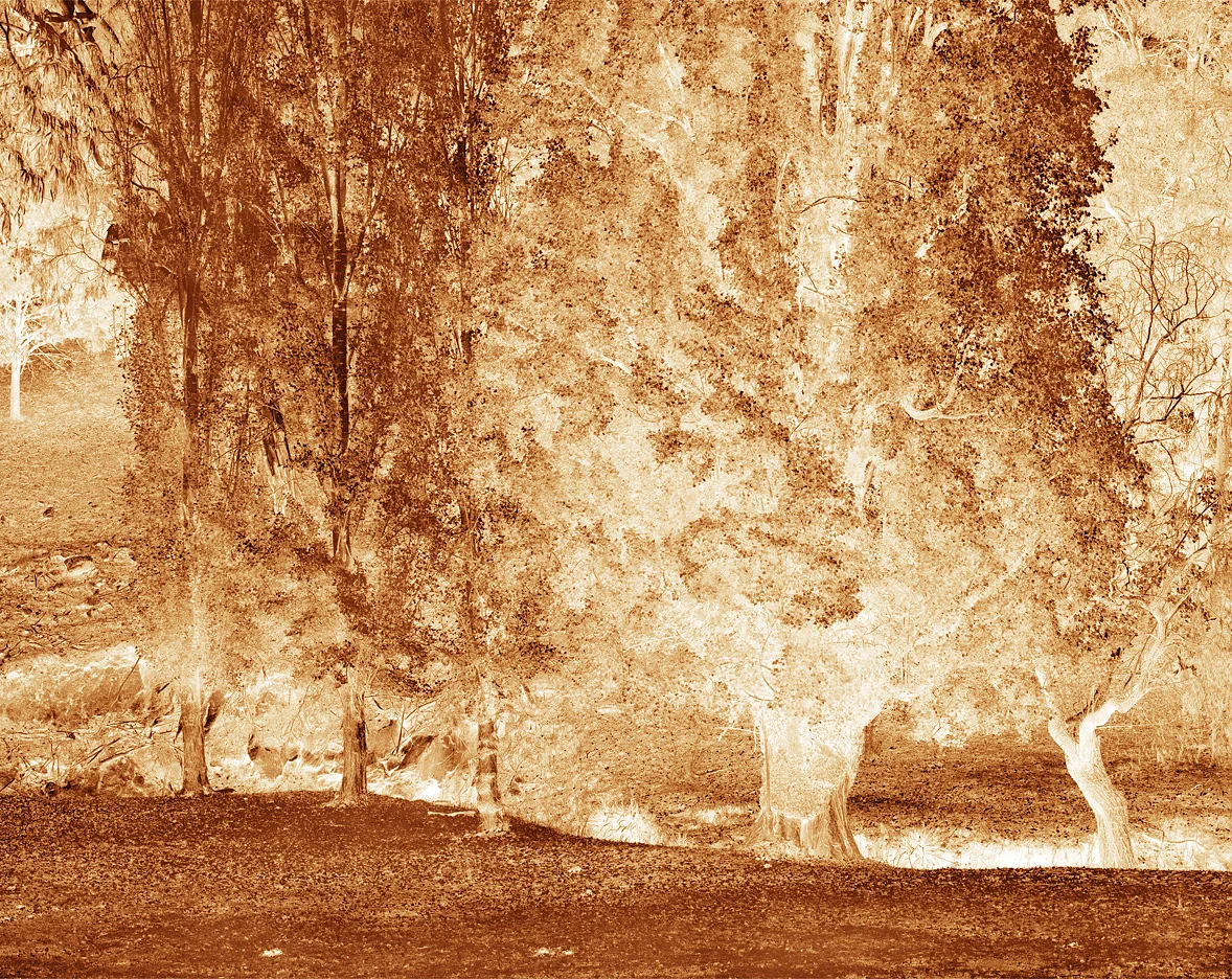 Object Studies Contemplations: Past 2007 72cm x 90.5cm