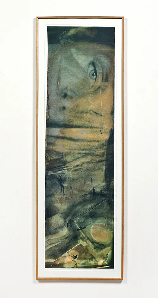The Lure of Unrealised Desire 1993-1994 #1