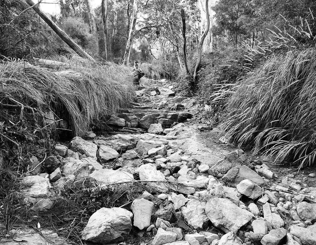 Foundation Photographs Aldgate Valley 12 , Aldgate, SA 2007 Print size variable