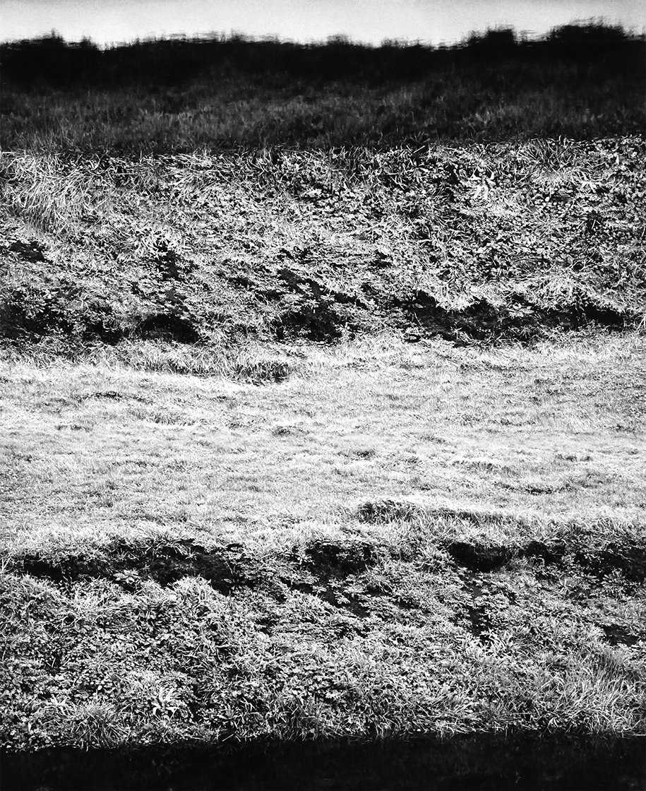 California A Path Less Trodden c1968 Print size variable