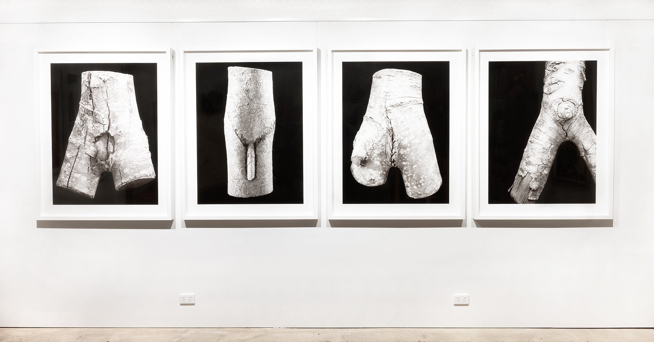    Wonders In The Woods     From The First Cultures Museum:  Fertility Fetishes 2,4,1,3,  2015 (Installation view; size 133cm x 445cm) 