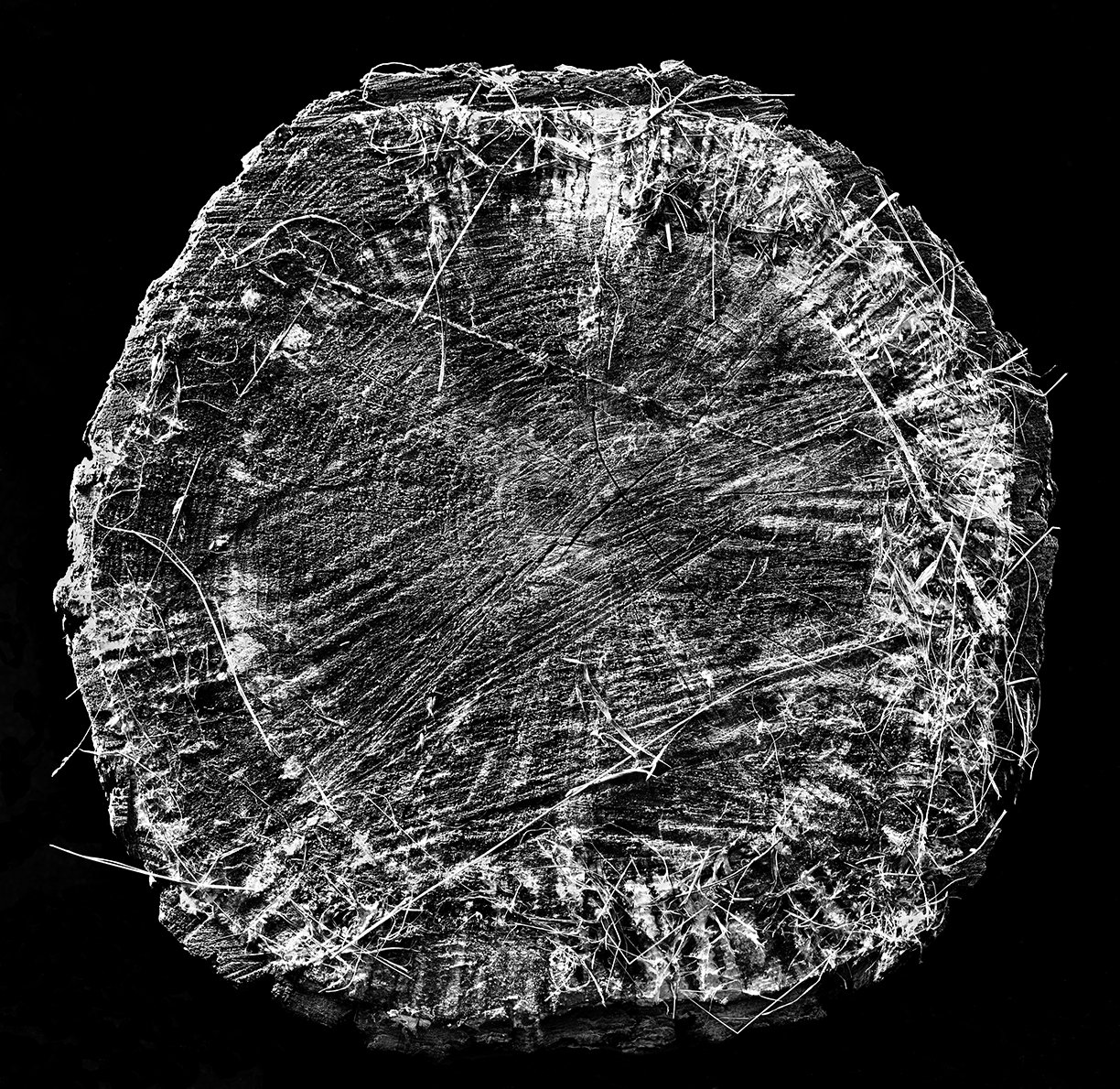    Wonders In The Woods    Heartwood: Disk With Field Grass  2015 85cm x 87.5cm Archival pigment print 