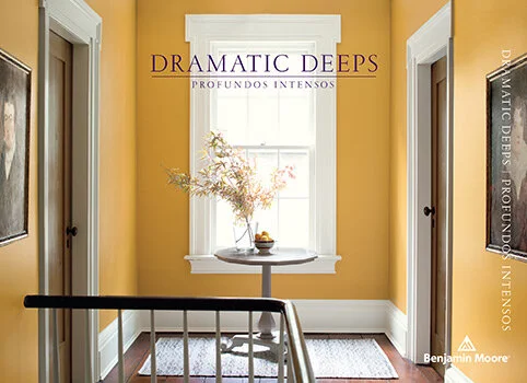 DramaticDeepsColorCard_Card_482x350_US_SP.jpg