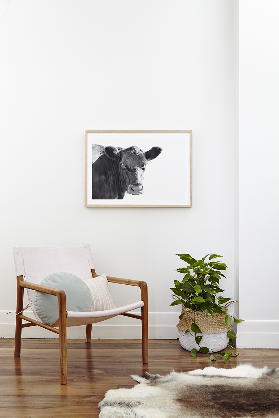 Maitland Street Interiors, Sarah Elshaug, Interior Stylist Melbourne, Elsie + Hugo, Limited Edition Prints, Cow Print, The Retreat Stylist