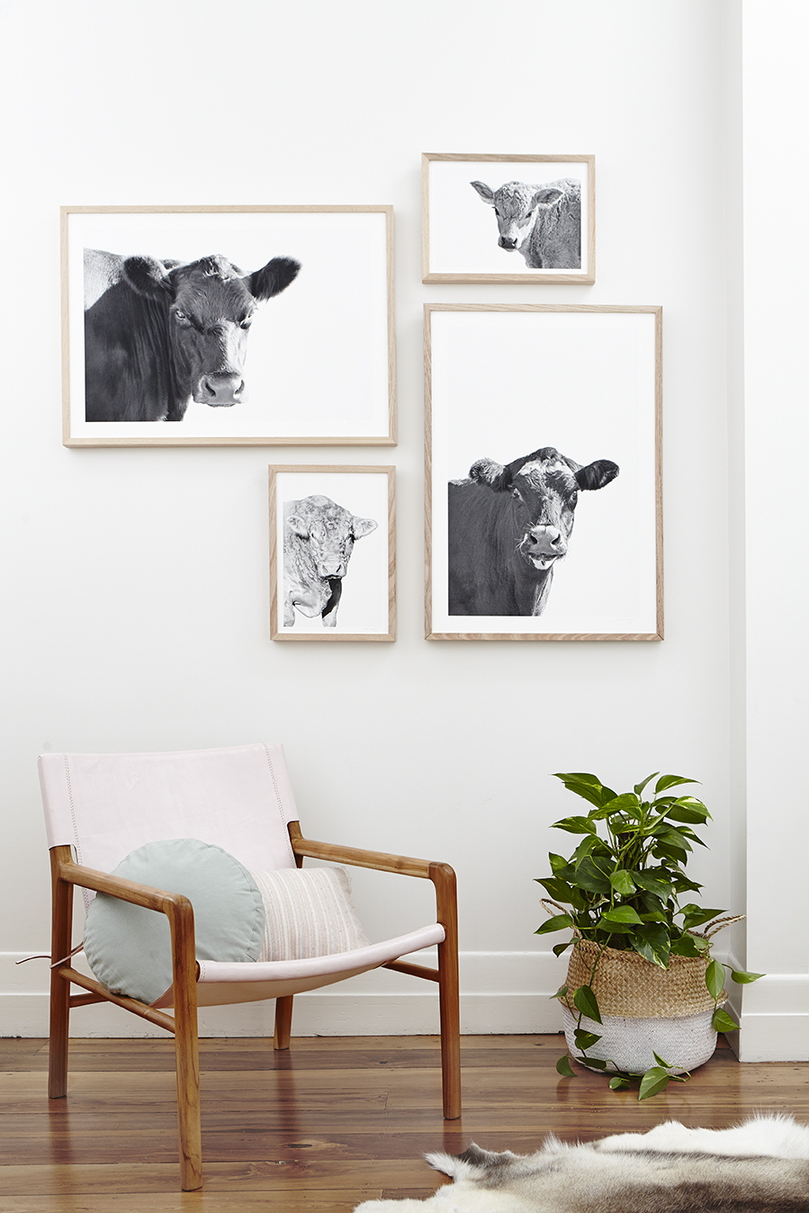 Maitland Street Interiors, Sarah Elshaug, Interior Stylist Melbourne, Elsie + Hugo, Limited Edition Prints, Cow Print, The Retreat Stylist