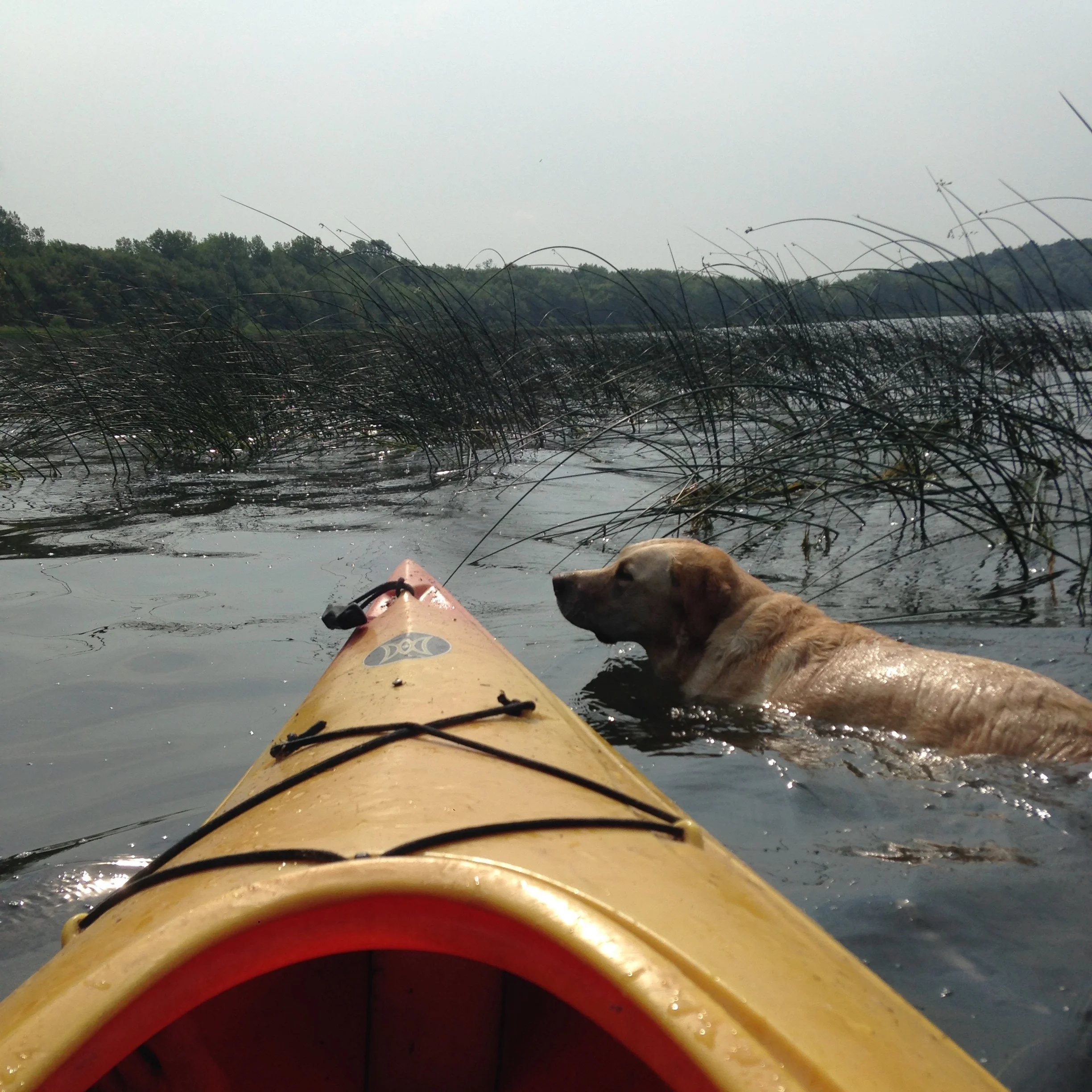 He loves a paddle with his Mom more than anything