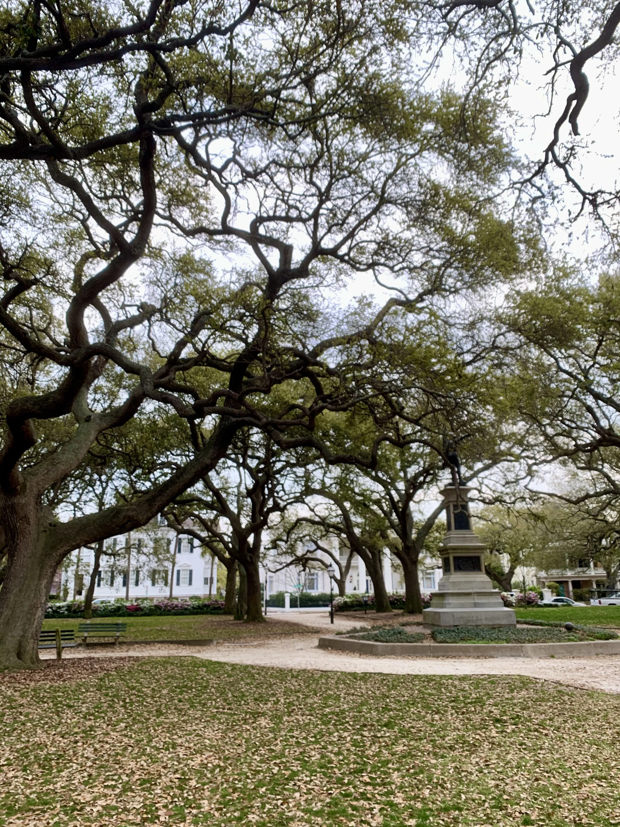 Love in the Time of Corona