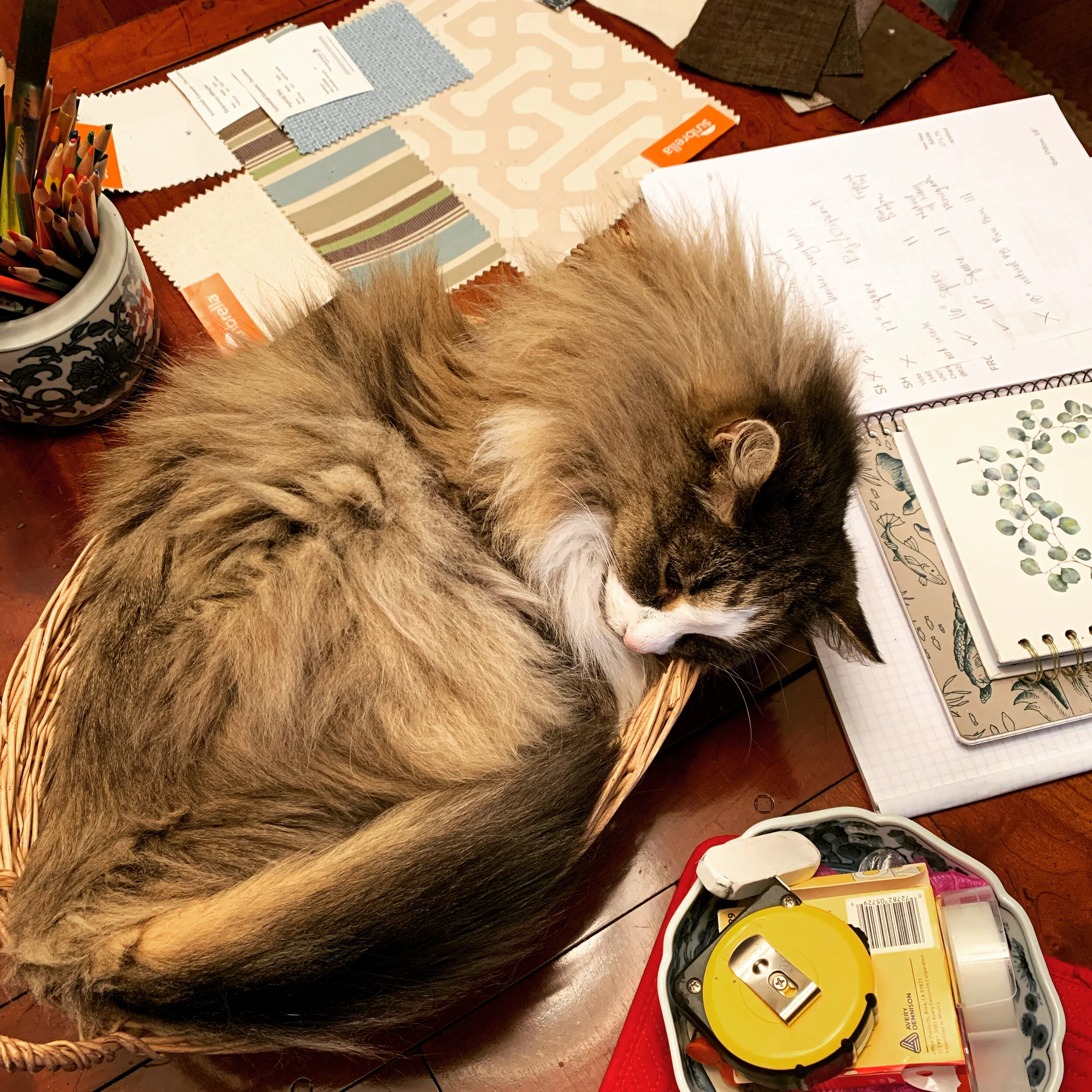 (Mis)Adventures in Home Furnishing: Where to Start