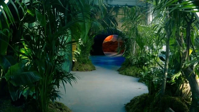 THE GREEN PLANET EXPERIENCE