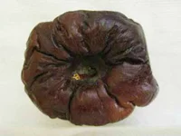 first-apple.jpg