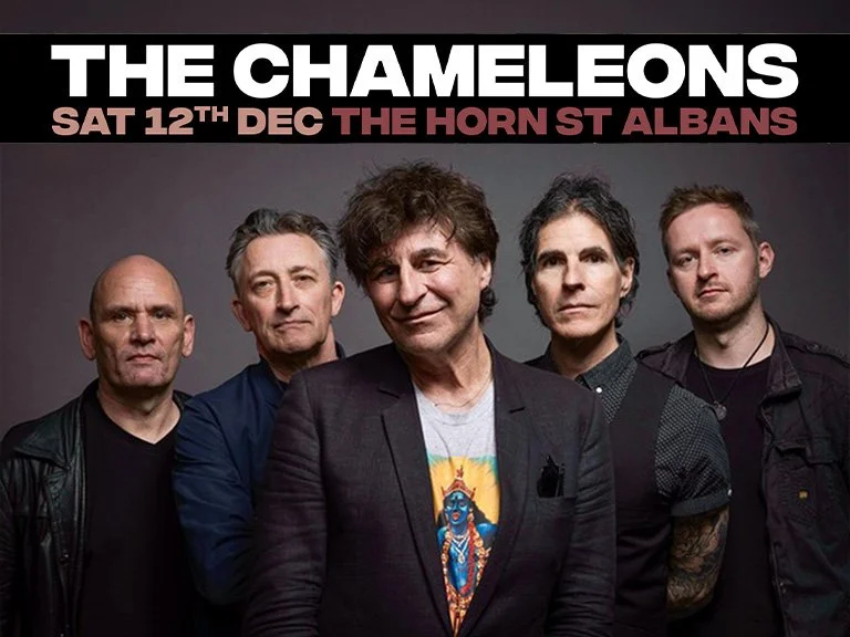 The Chameleons