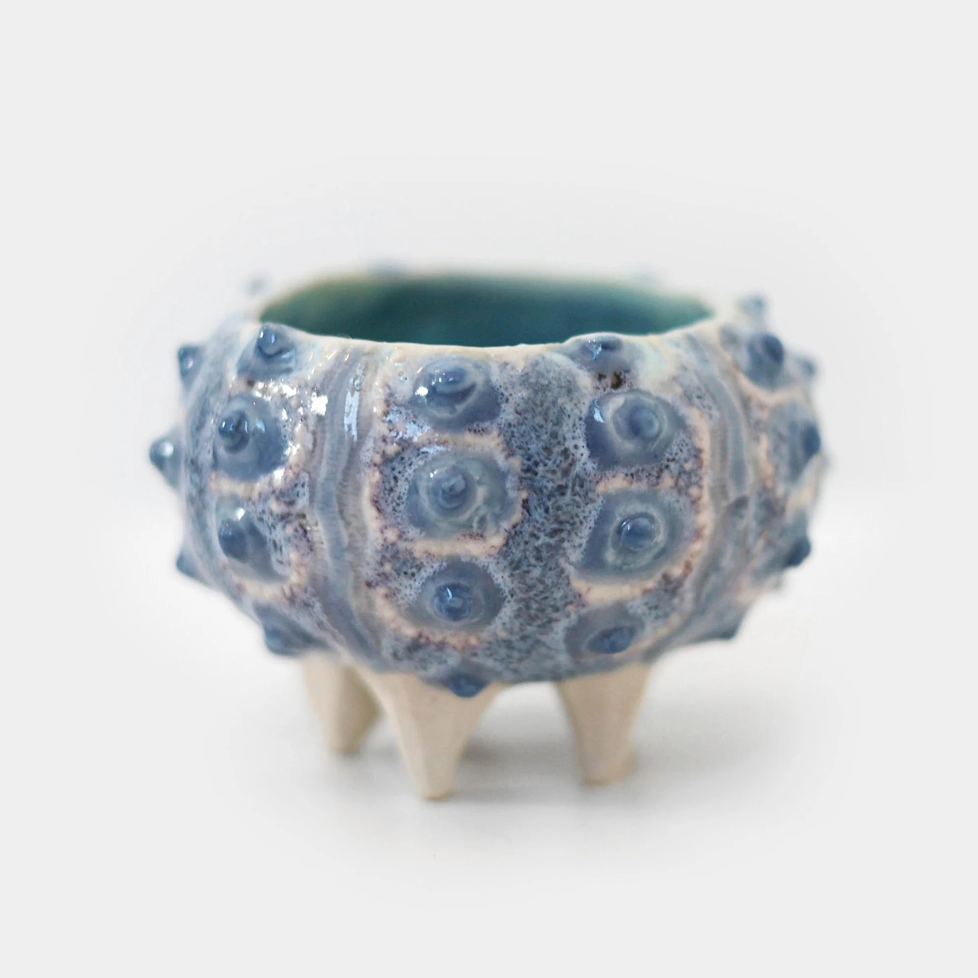 jazharold_seaurchin_ceramic_0380-square.jpg