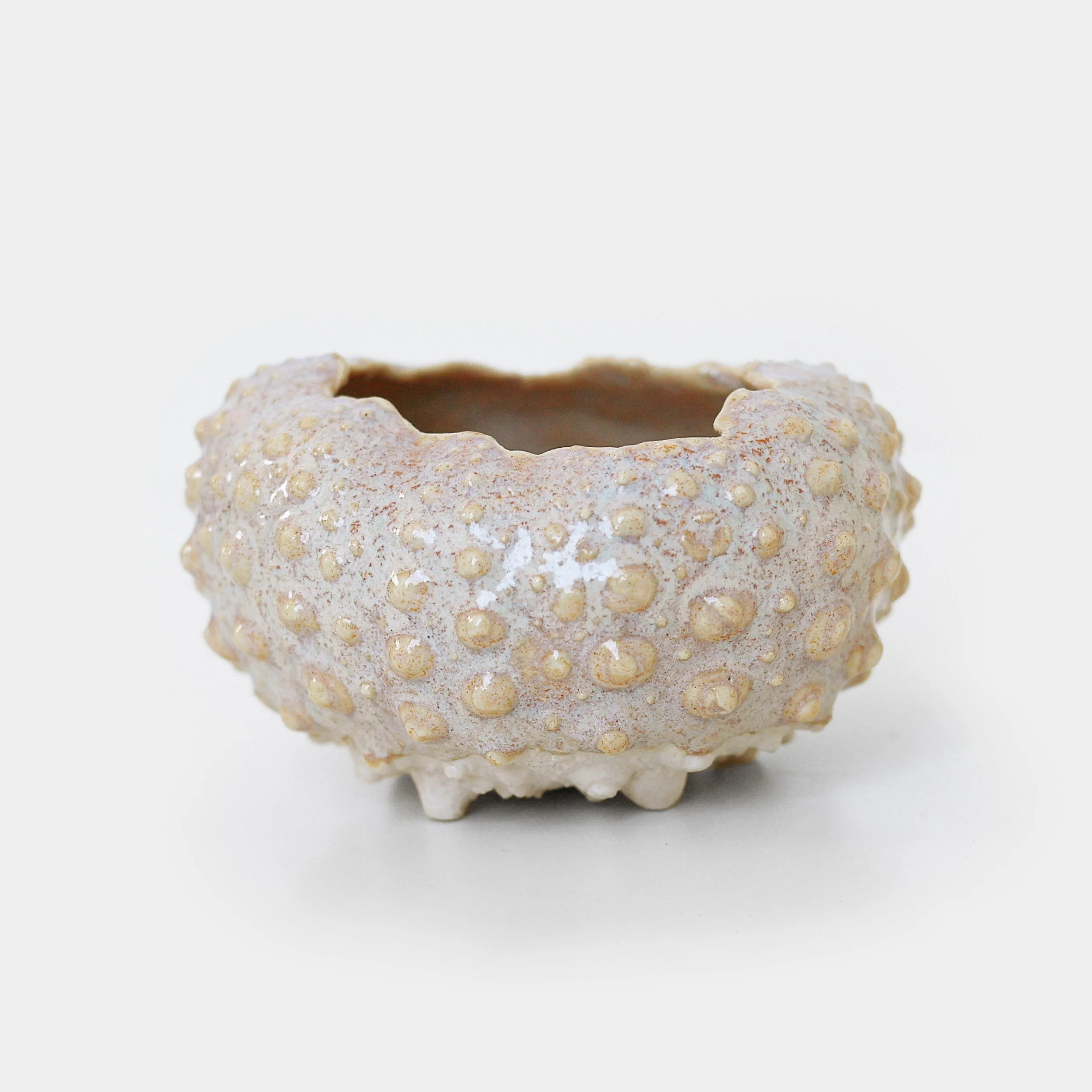 jazharold_seaurchin_ceramic_2182-square.jpg