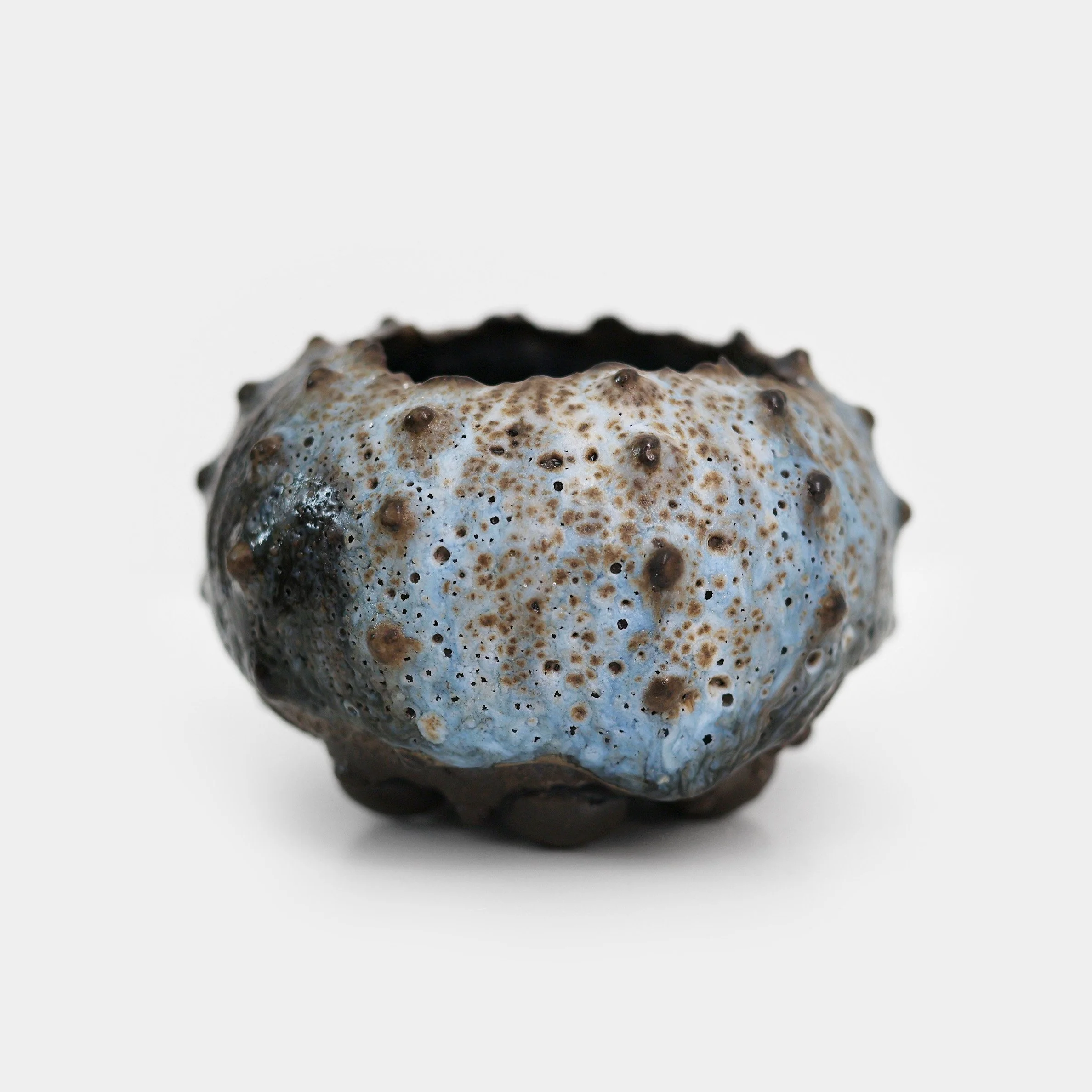 jazharold_seaurchin_ceramic_1157-square.jpg