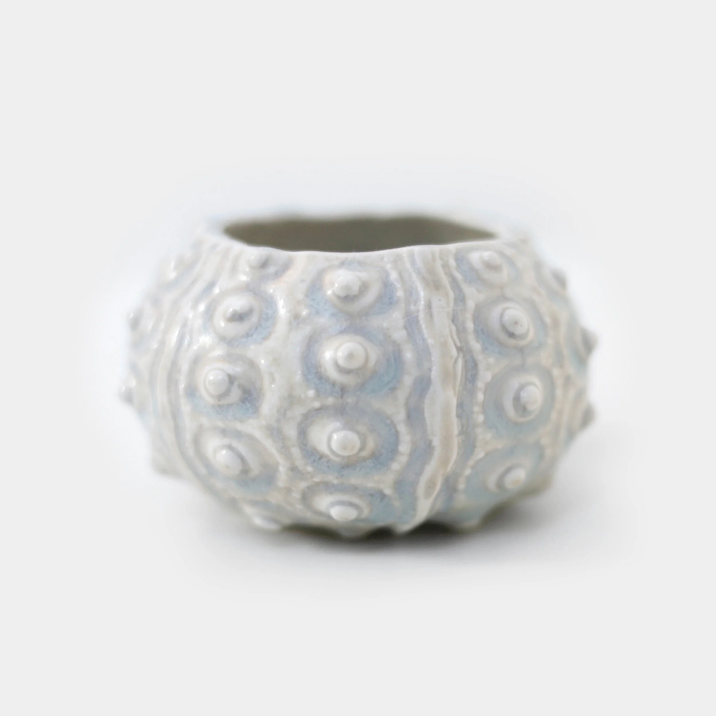 jazharold_seaurchin_ceramic_0365-square.jpg