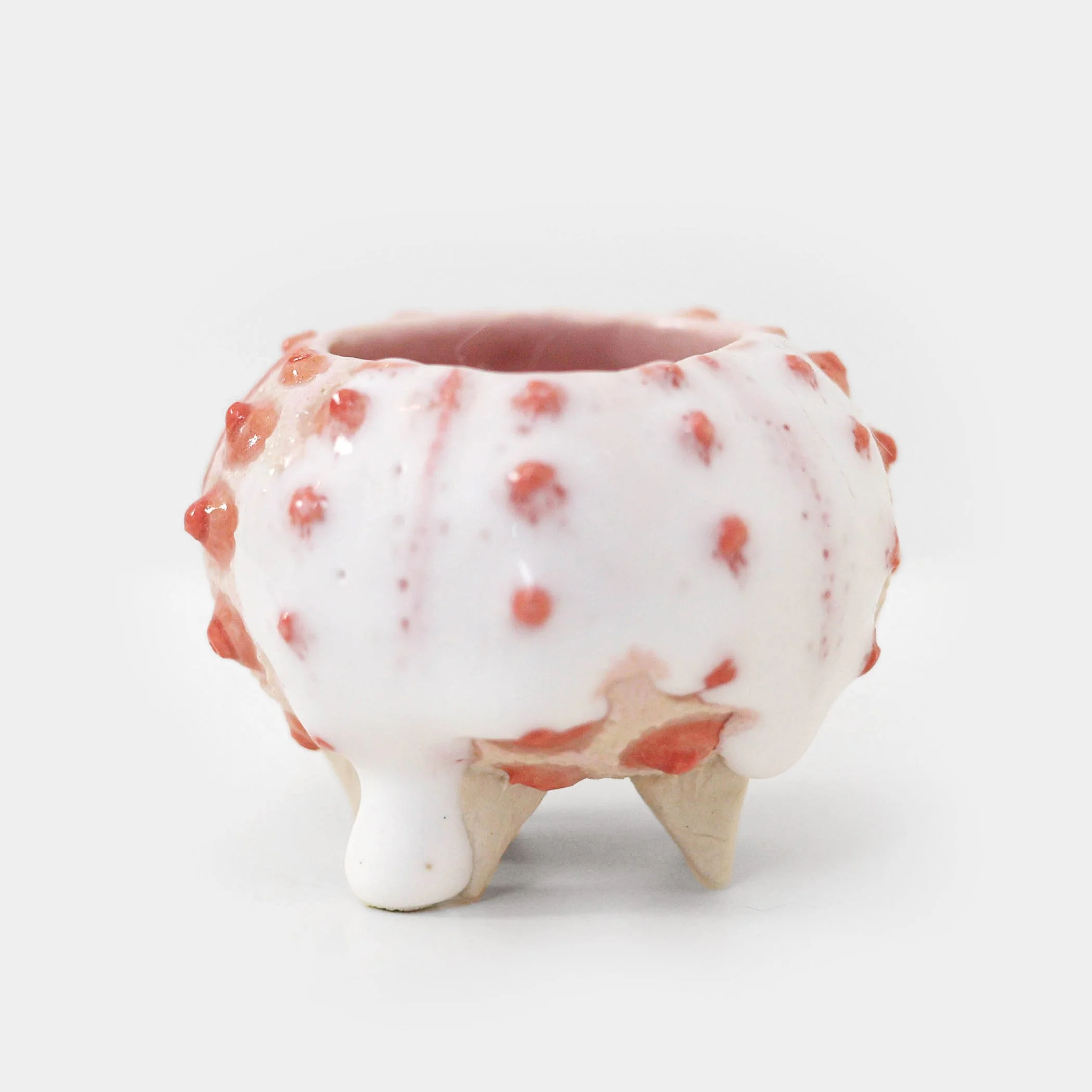 jazharold_seaurchin_ceramic_0315-square.jpg