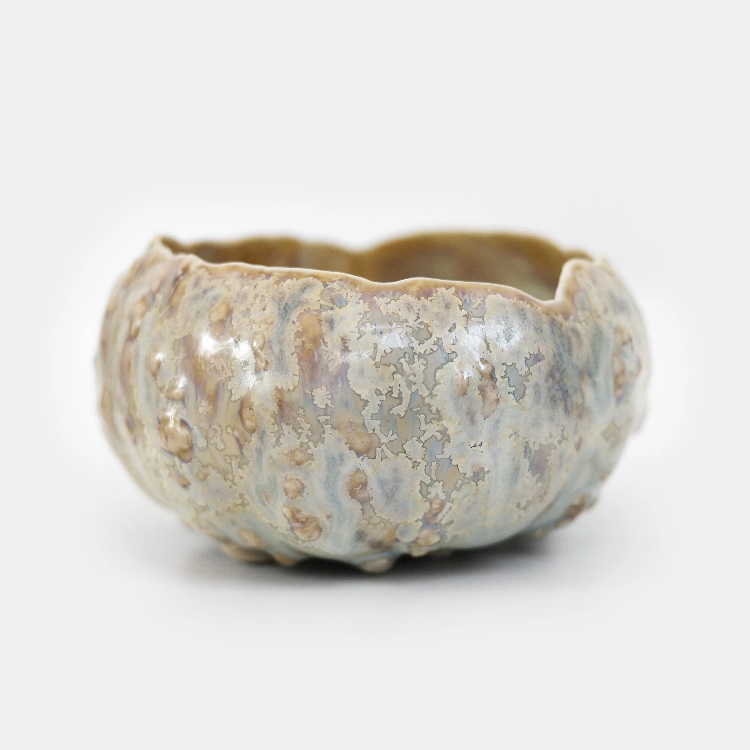 IMG_2952.jpg