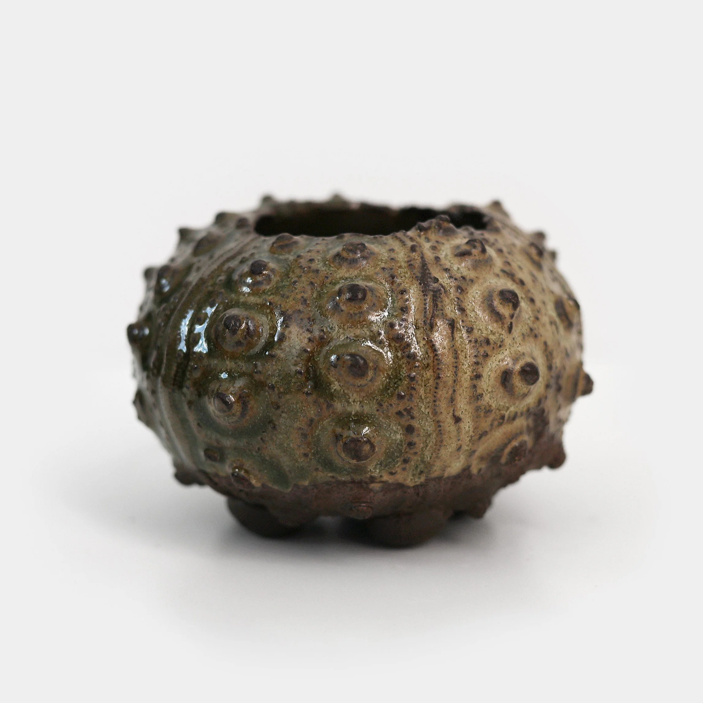 jazharold_seaurchin_ceramic_1115-square.jpg