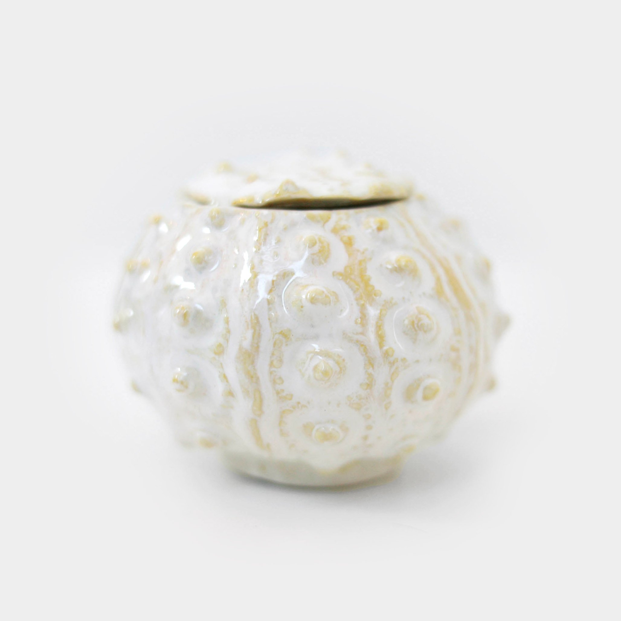 jazharold_seaurchin_ceramic_0416-square.jpg