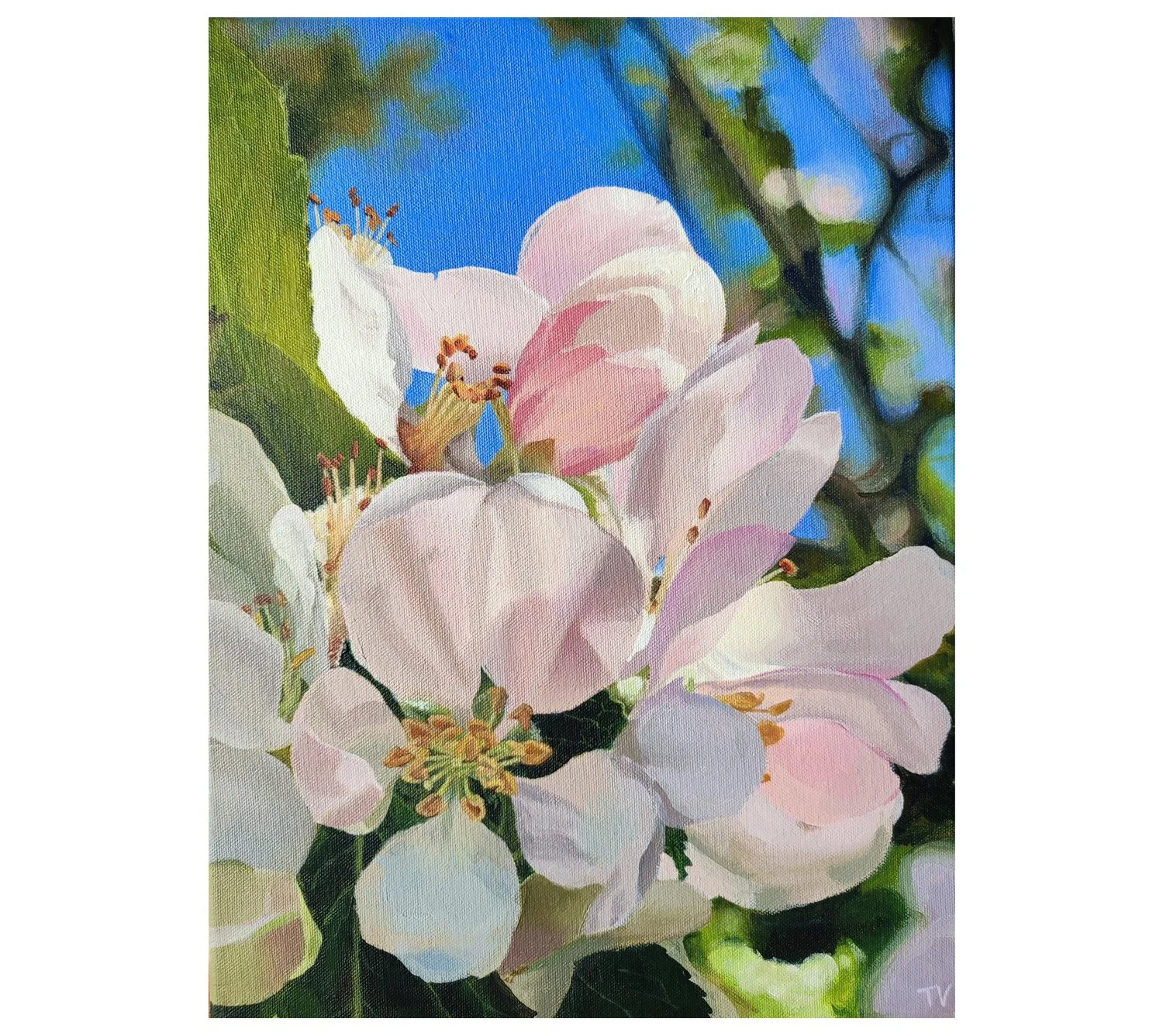 flowers2.jpg