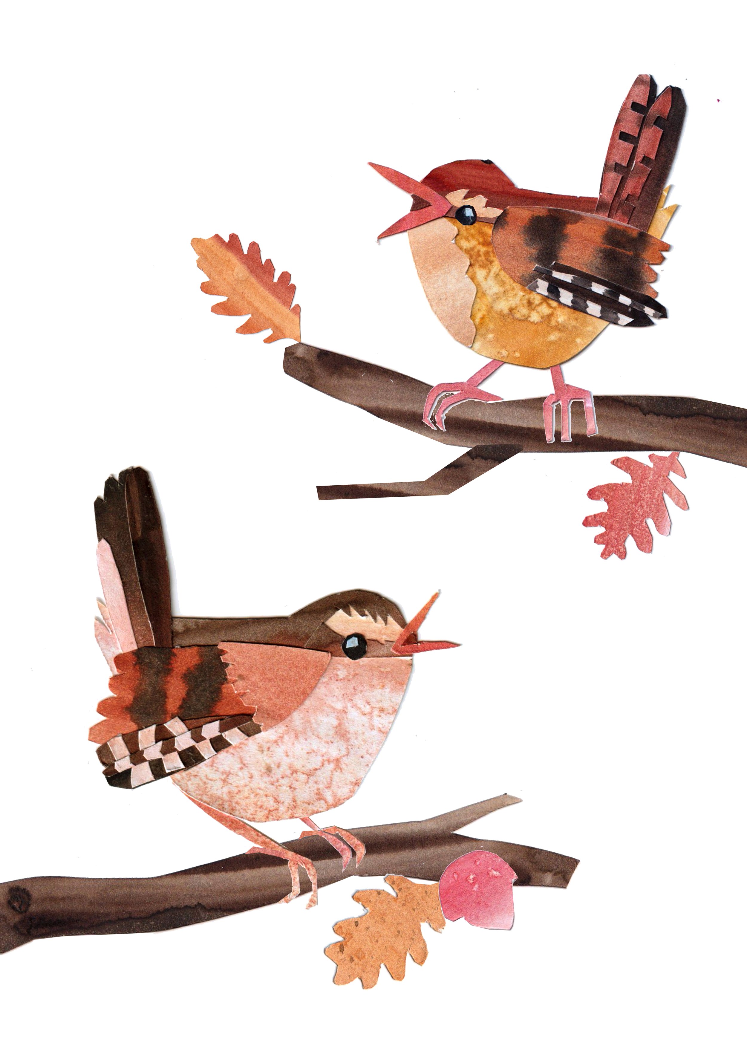 birds3.jpg