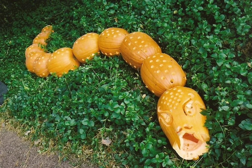 Halloween Decor