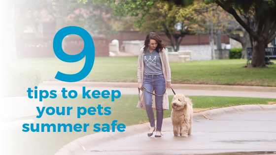 tips to keep your pets summer safe.png