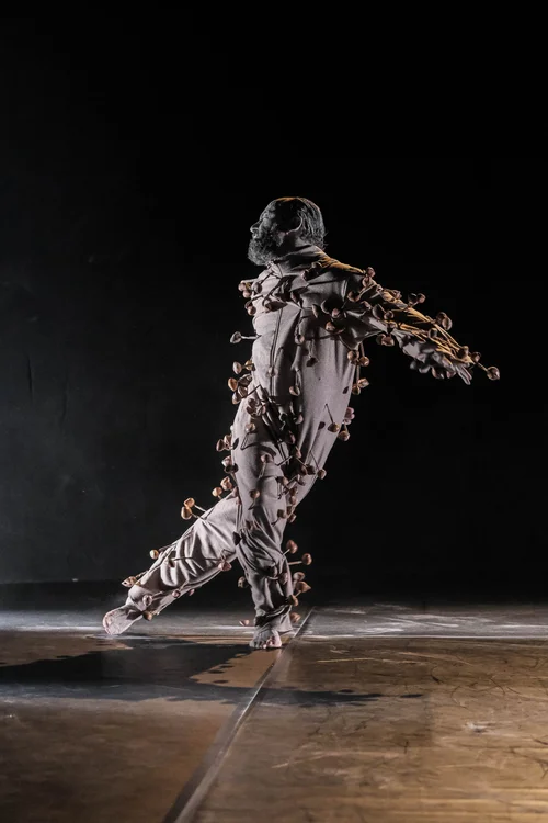 Interview with Nacho Cárcaba on the needs of today's artists