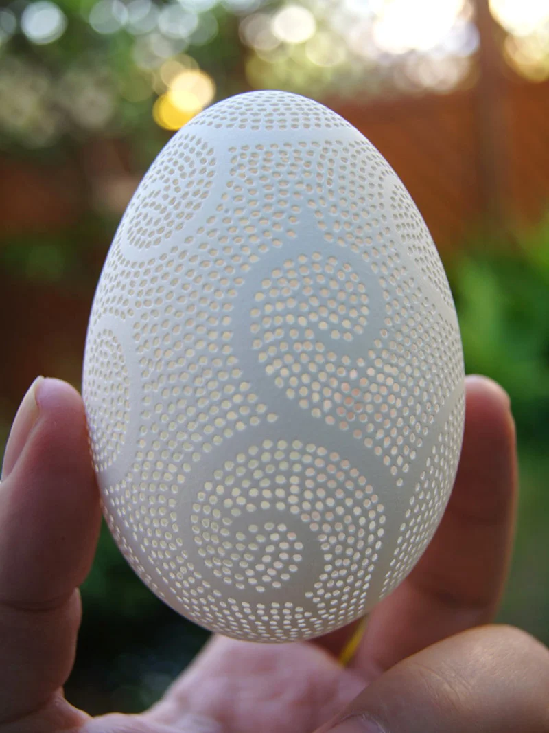 eggs-5.jpg