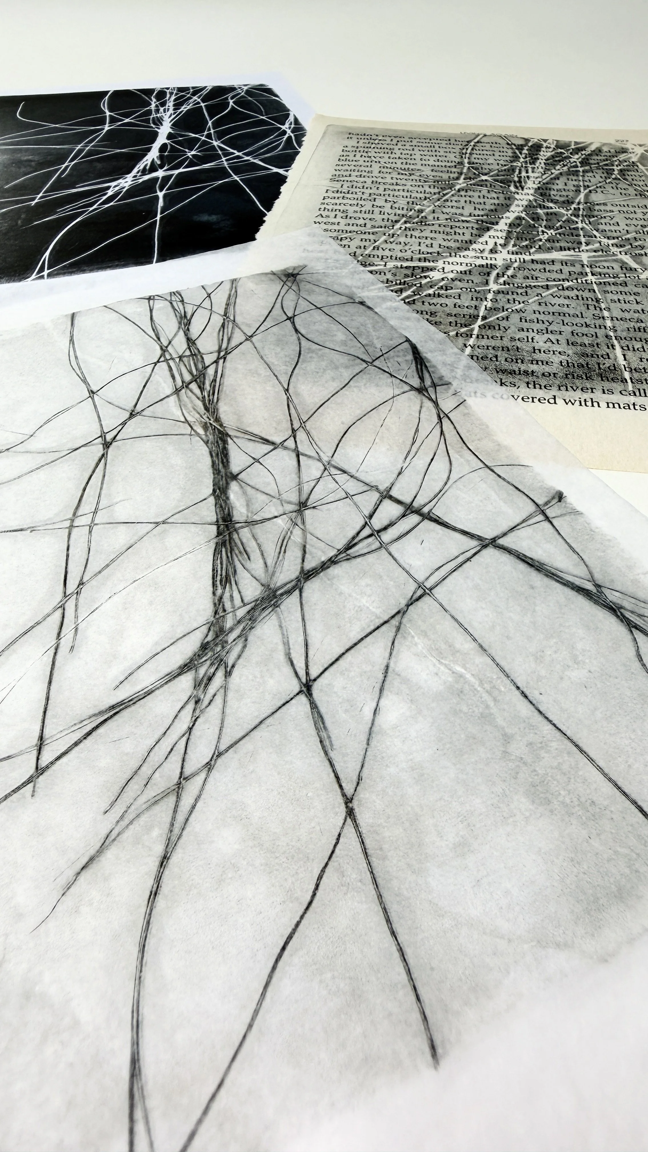 Monoprints.jpg