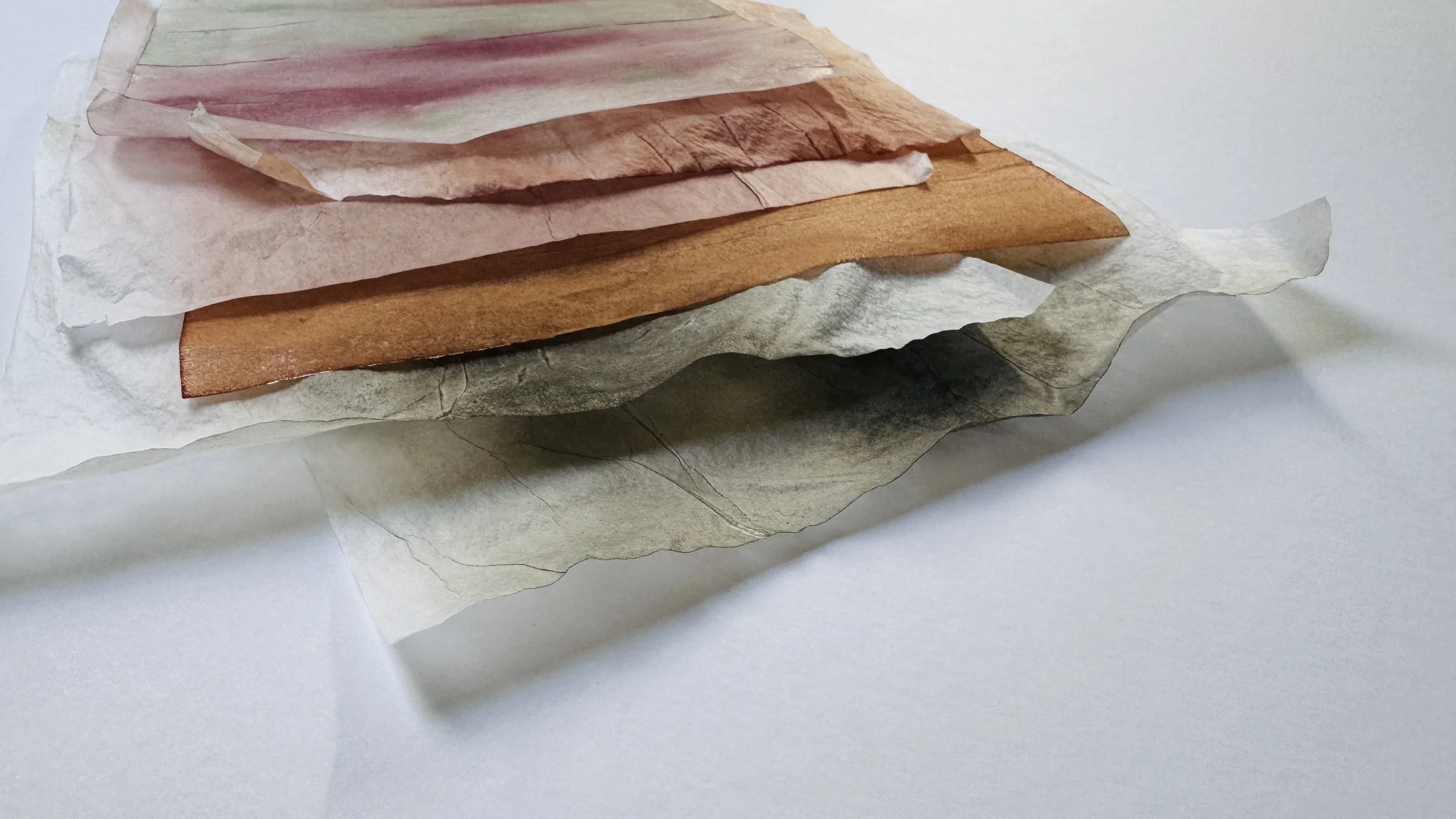 Stained Tissue.jpg
