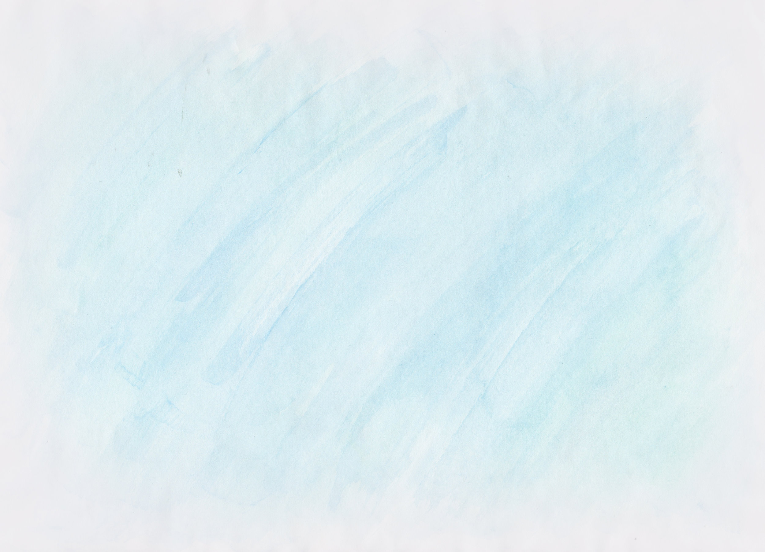 divider1.jpg