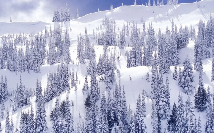 Paisaje-Invierno-7-720x450.jpg