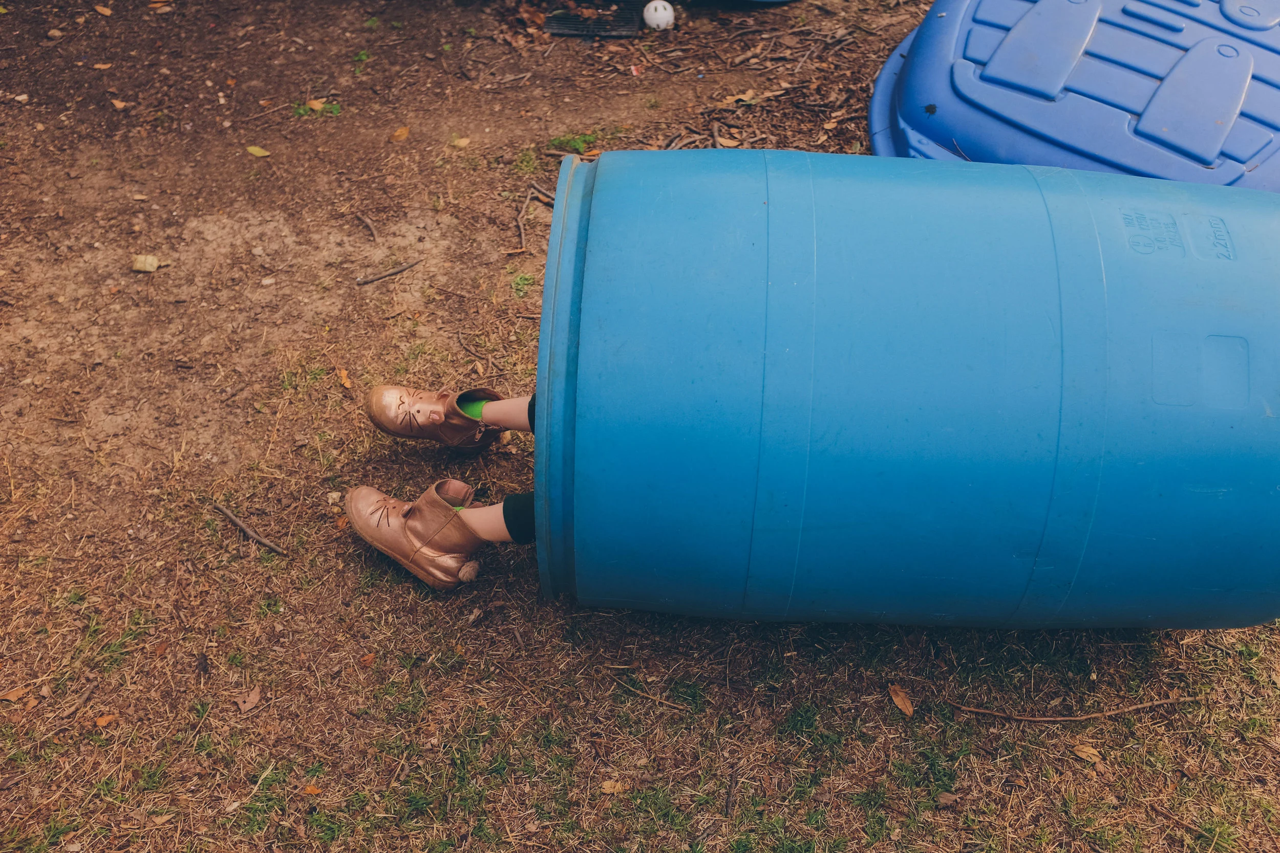 February 26. Harper Meadow in a barrel. 