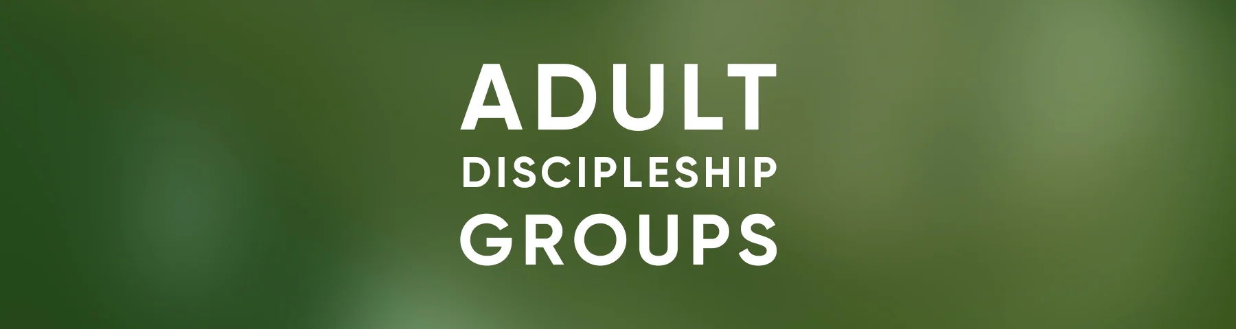 LIMACC_WEB_ADULT DISCIPLESHIP BANNER.jpg